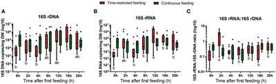 The role of feeding as synchronizer of gut microbiota dynamics and its potential contribution to protein digestion in greater amberjack (Seriola dumerili)